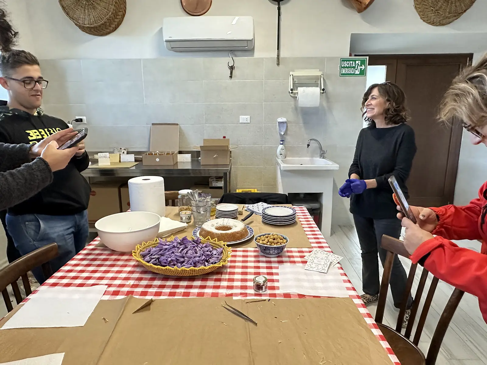 Raccolta dello zafferano Piana di Navelli