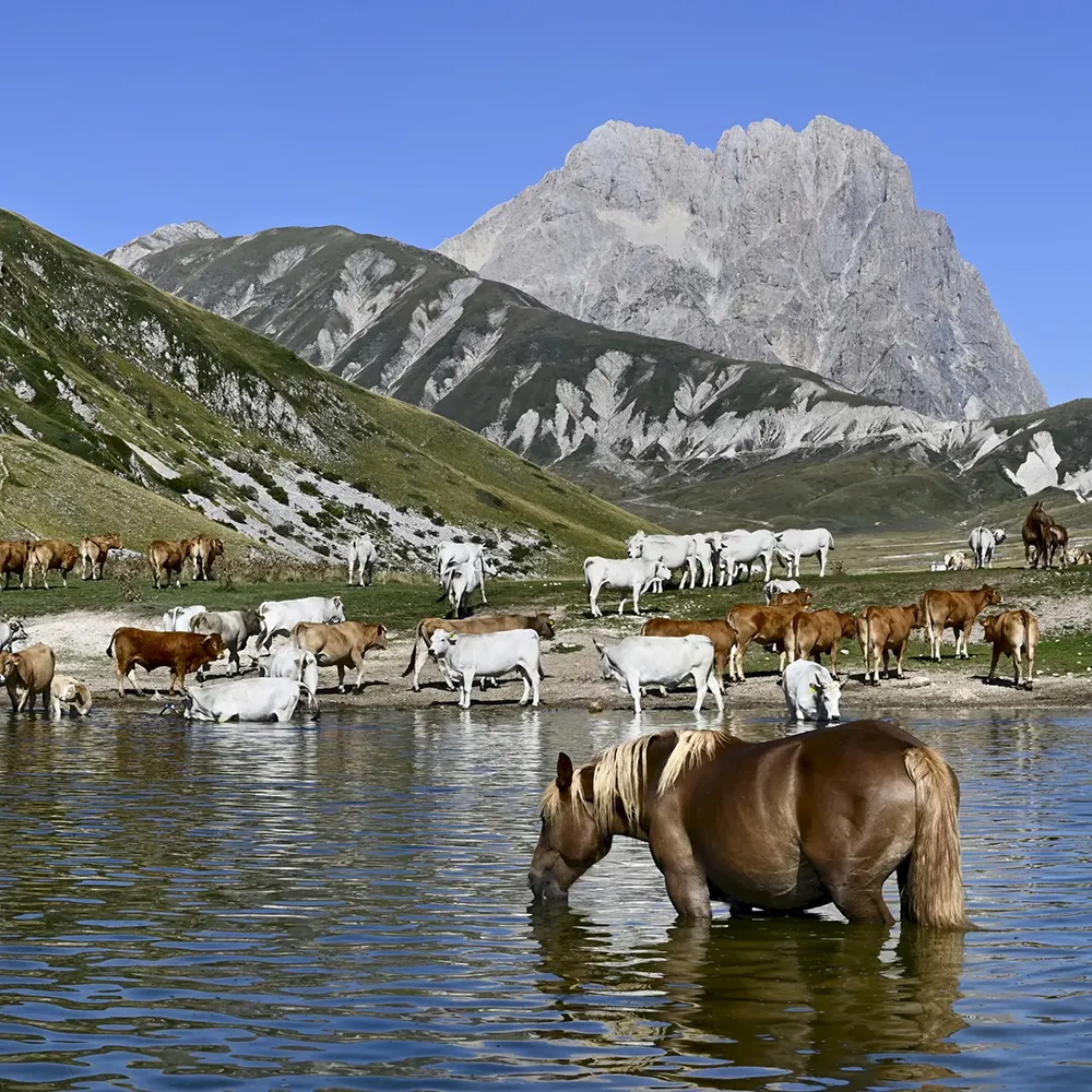 Parco Gran Sasso Campo Imperatore