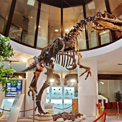 Chieti museo universitario